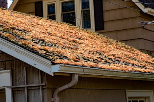 Seven Signs a Florida Roof Needs Attention — Before the Ceiling Stains