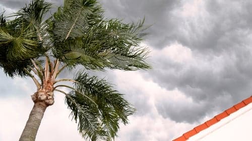 After the Storm: How Roof Insurance Claims Actually Get Approved